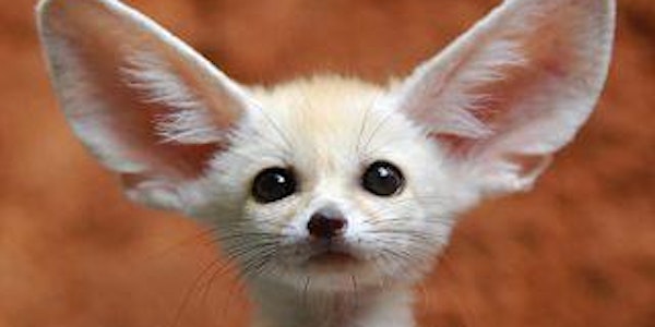 We’re All Ears: Nanaimo Listening Session
