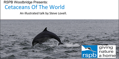 RSPB Woodbridge: Cetaceans Of The World