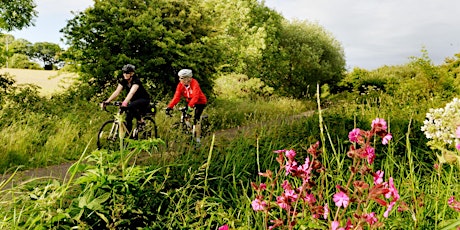 Level Up Ride - 25 miles with Sustrans and Bridgwater Cycling Campaign