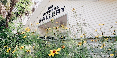 Big Cypress Gallery Master Naturalist Tours