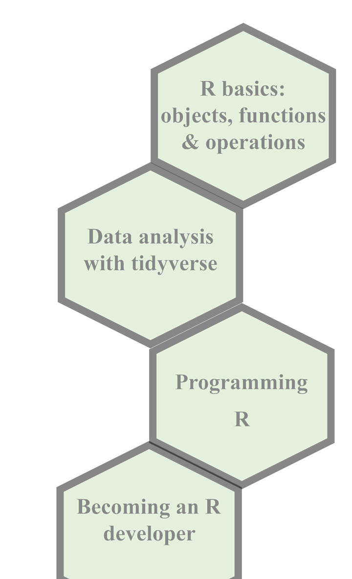 R basics - objects, functions and operations image