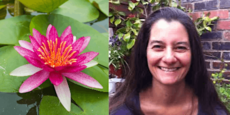 Cultivating Equanimity: a day retreat with Zohar Lavie