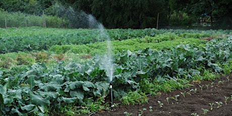 Okanagan Field Day > Field Vegetables: Irrigation Management tickets