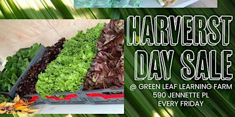 Harvest Day Sales at The Green Leaf Learning Farm tickets