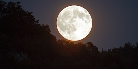 Bearing Witness with the Moon: Full Moon Stroll tickets