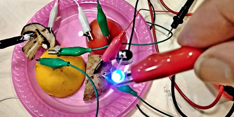 Fruits Battery - Electromagnetic Motors! tickets
