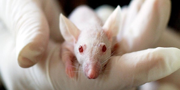 'Scientific purpose' in UK animal research law (and why we should care)
