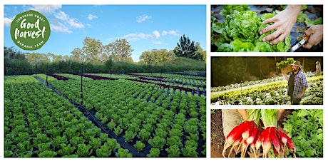 Lunch & Learn - Home Grown Goodness – Good Harvest Organic Farm tickets