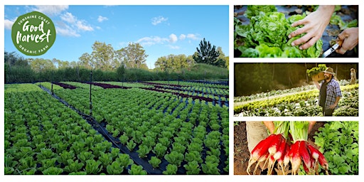 Lunch & Learn - Home Grown Goodness – Good Harvest Organic Farm