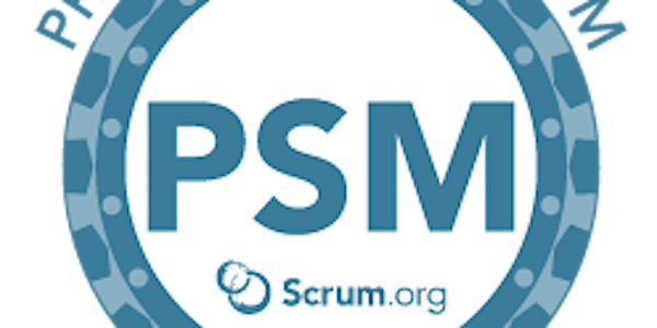 PROFESSIONAL SCRUM MASTER