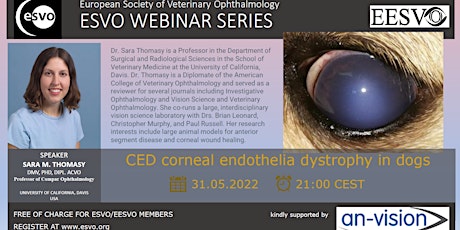 CED corneal endothelia dystrophy in dogs tickets