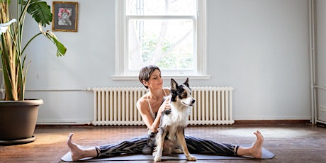 Yoga For Beginners tickets