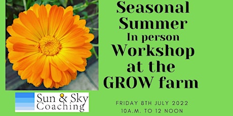 Summer in person  Seasonal Wellbeing Workshop tickets