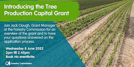 Introducing the Tree Production Capital Grant tickets