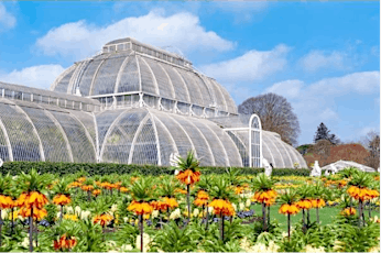 The Royal Botanical Gardens, Kew (pre-filmed, live chat)