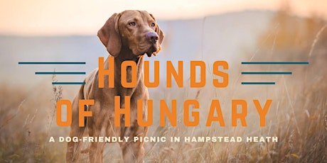 Hounds of Hungary - A dog-friendly picnic on Hampstead Heath