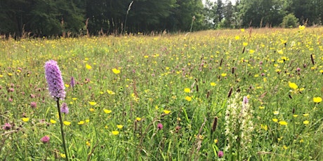 How to Make a Wildflower Meadow tickets
