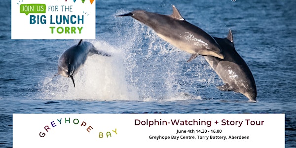 Dolphin Watching and Story Tour at the Greyhope Bay Centre