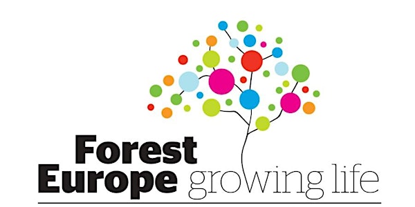 Forest Europe Expert Level Meeting
