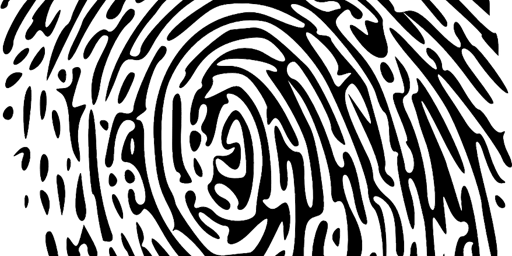 Fingerprint workshop
