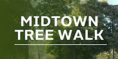 MidTown Tree Walk