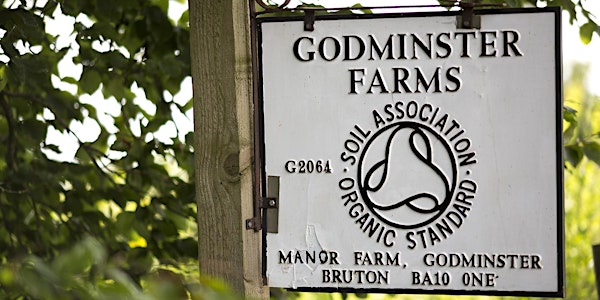 A Walking Tour of Godminster Farm