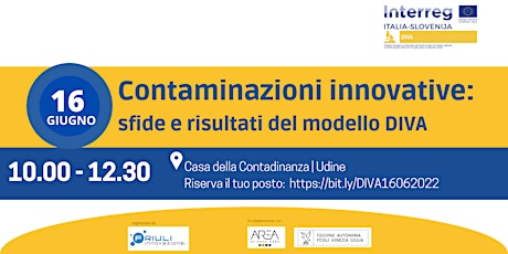 Contaminazioni innovative:  sfide e risultati del modello DIVA