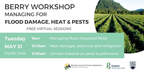 Berry Workshop: Managing for flood damage, extreme heat & pests billets