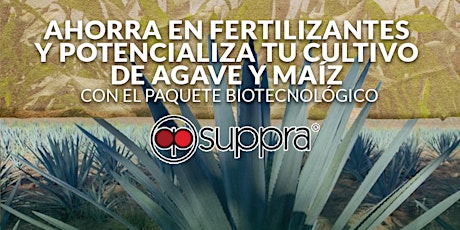 Imagen principal de Ahorra en fertilizantes y potencializa tu cultivo de Agave y Maíz