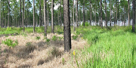 Invasive Species  Workshop primary image