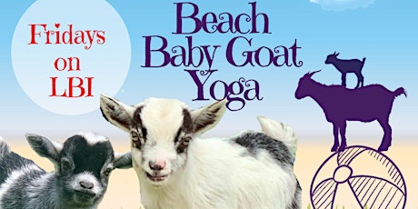 Beach Baby Goat Yoga LBI Fridays 10AM : Namaaaste Goat Yoga