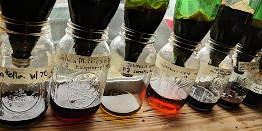 How to Make A Percolation Tincture Workshop -  October 2022