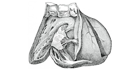 Adult Congenital & Rheumatic Symposium primary image