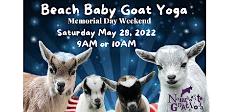 Beach Baby Goat Yoga LBI Memorial Day Weekend: Namaaaste Goat Yoga tickets