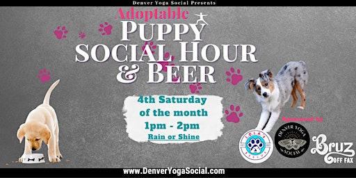 Adoptable Puppy Social Hour Sponsored by Bruz off Fax and Lola's Rescue
