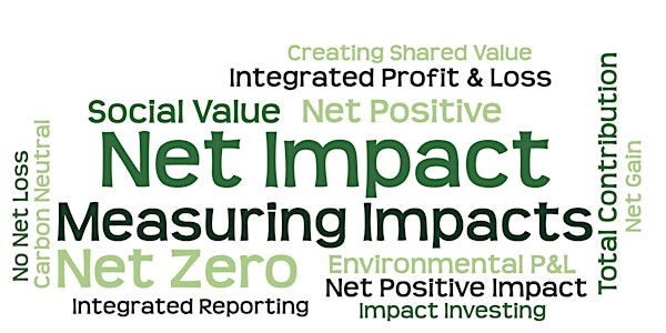 Net Impact Approaches: Bringing the strands together