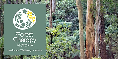 Forest Therapy Experience: Witton's Reserve, Wonga Park tickets