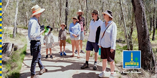 Guided walk in the wetlands