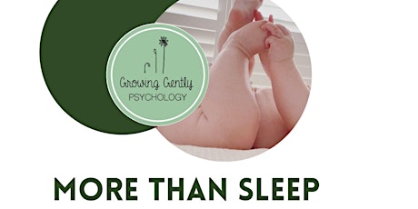 More Than Sleep - Shared Appointments AUGUST  0-4 month olds tickets