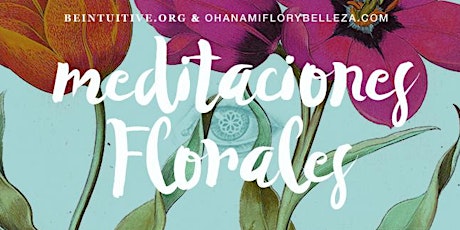 Imagen principal de FLOWRACIONES: Meditaciones florales