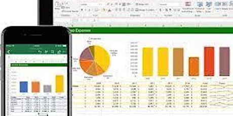 Excel Spreadsheets - Develop and Validate to Eliminate 483s tickets