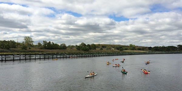 Kayak Tour