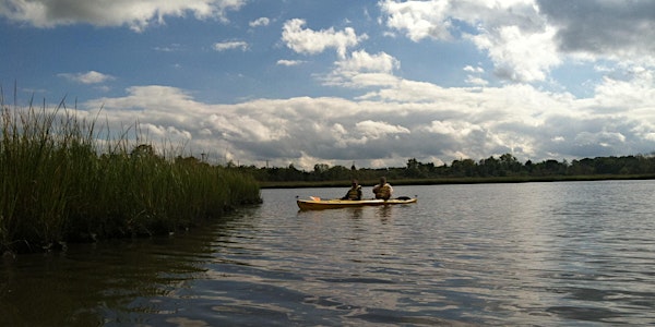Kayak Tour