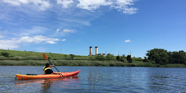 Kayak Tour