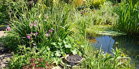 Building and maintaining a garden wildlife pond tickets