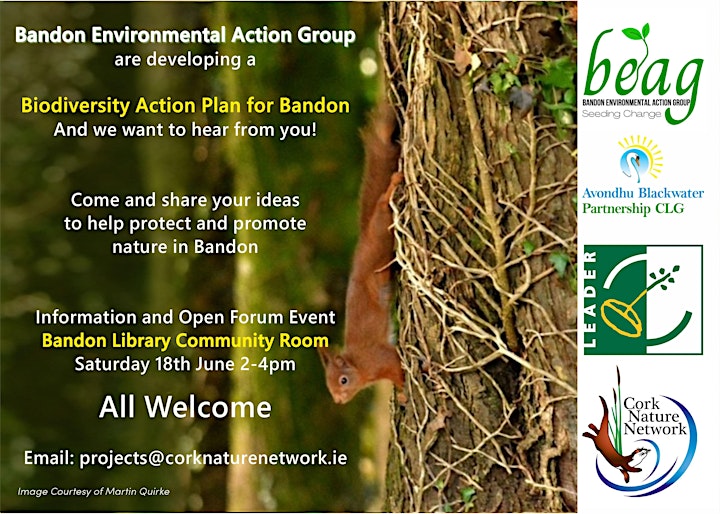 Bandon Biodiversity Action Plan Community Meeting image