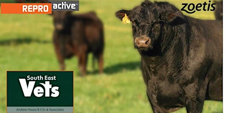 ReproActive Mount Gambier - More Calves, More Often primary image