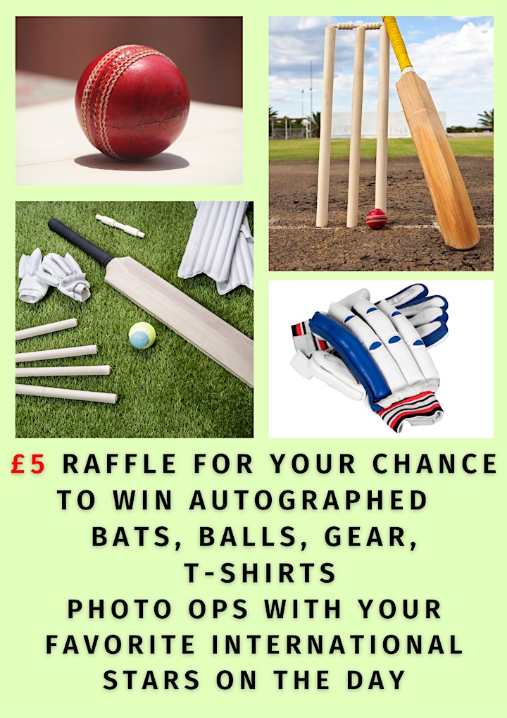 Charity Cricket Family Fun Day image