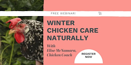 Winter Chicken Care Naturally FREE Webinar tickets