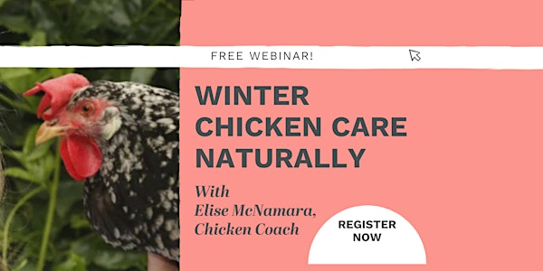 Winter Chicken Care Naturally FREE Webinar